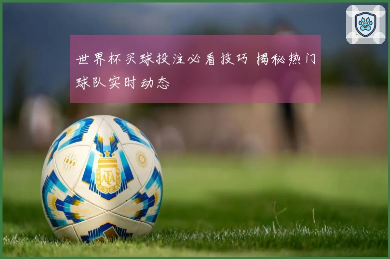 世界杯买球投注必看技巧 揭秘热门球队实时动态