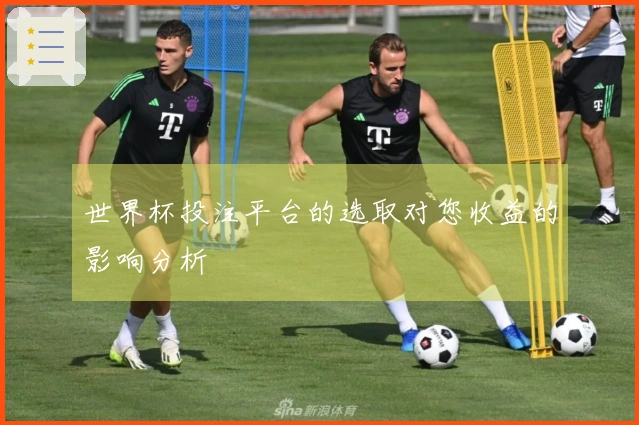 世界杯投注平台的选取对您收益的影响分析