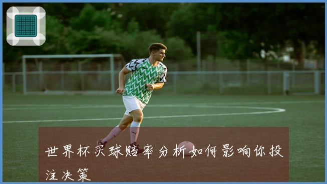 世界杯买球赔率分析如何影响你投注决策