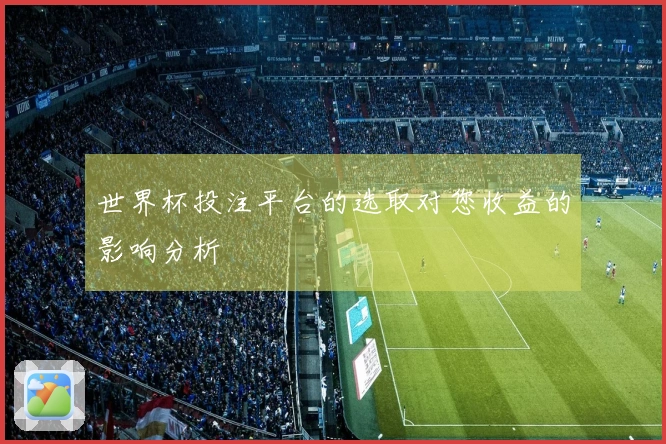 世界杯投注平台的选取对您收益的影响分析