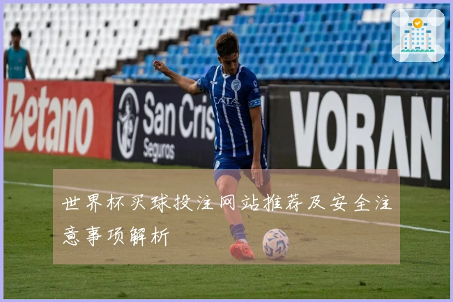 世界杯买球投注网站推荐及安全注意事项解析