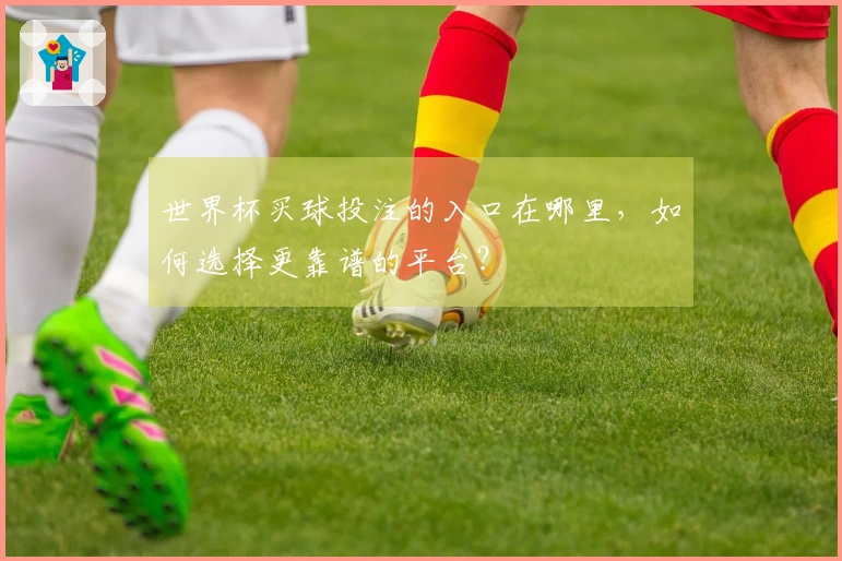 世界杯买球投注的入口在哪里，如何选择更靠谱的平台？