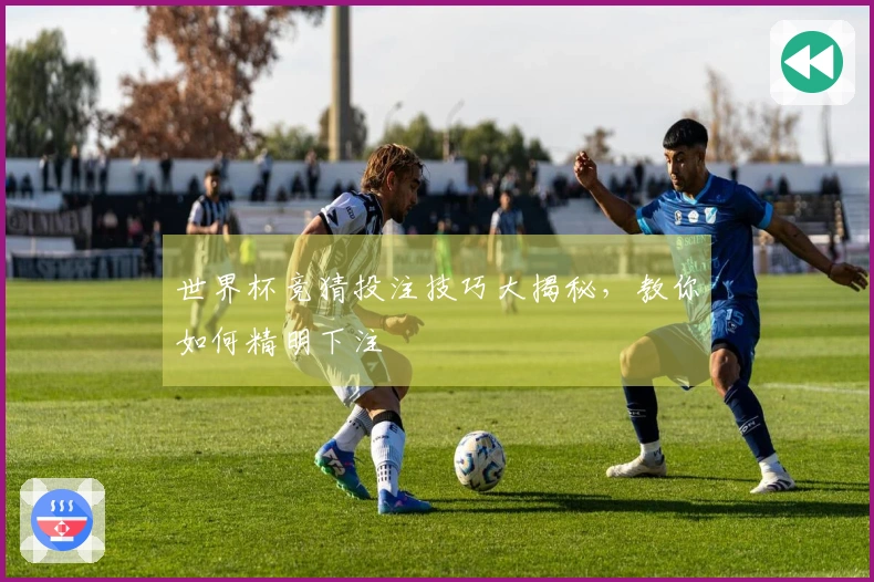世界杯竞猜投注技巧大揭秘，教你如何精明下注