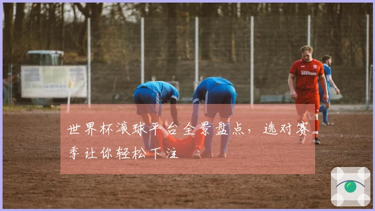 世界杯滚球平台全景盘点，选对赛季让你轻松下注