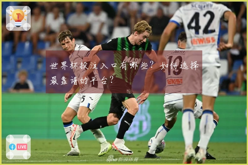 世界杯投注入口有哪些？如何选择最靠谱的平台？
